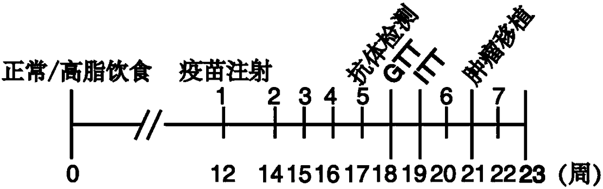 Resistin polypeptide vaccine and application thereof to treatment of mammary cancer