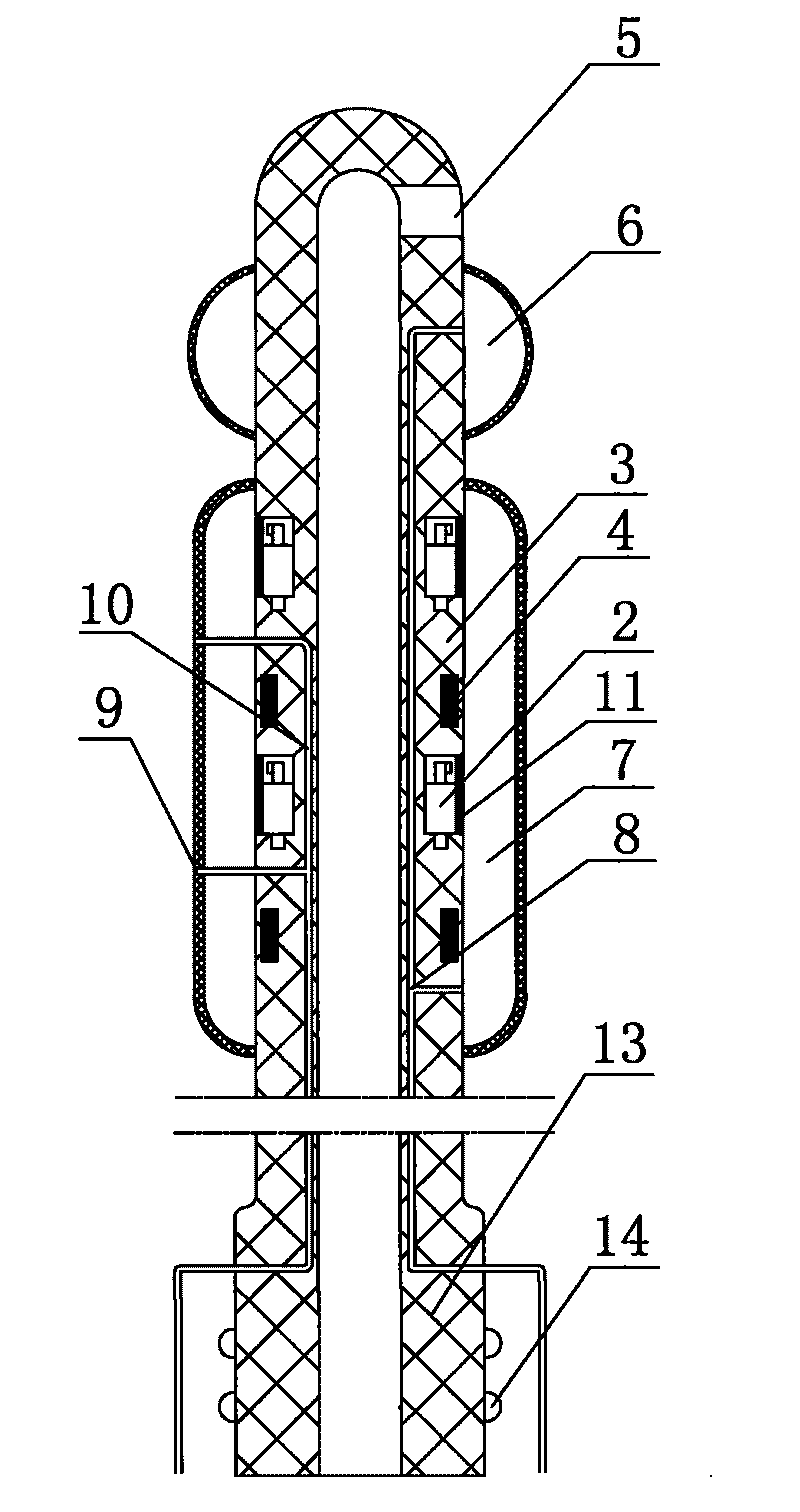 Multifunctional catheter