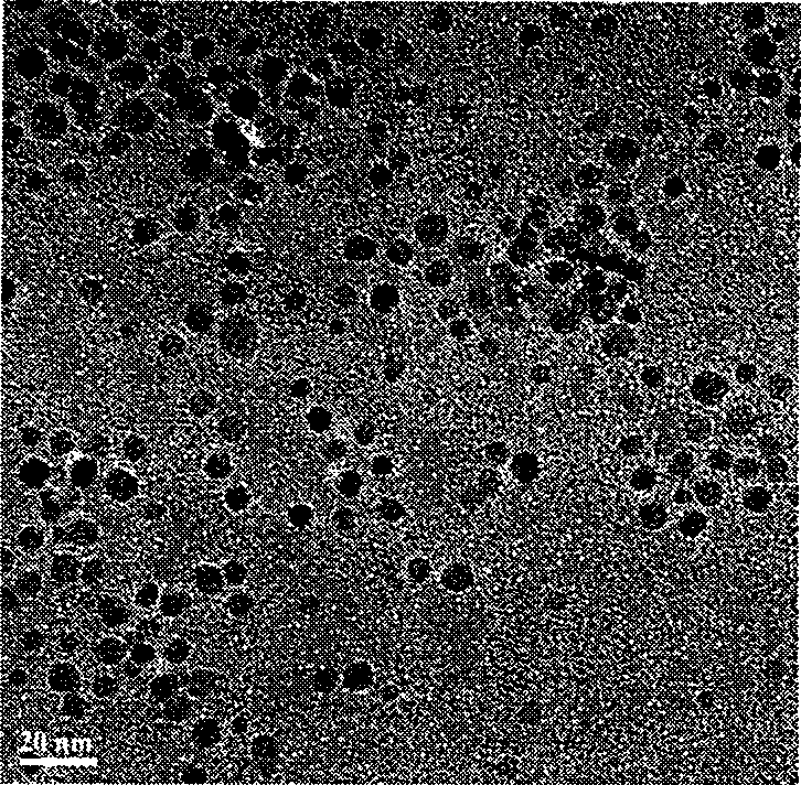 Amphiphilic superparamagnetism magnetic resonance contrast medium and preparation method thereof