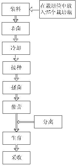 Cultivation method of hypsizygus marmoreus