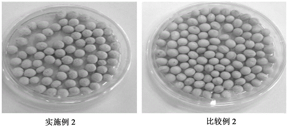 Coated seed manufacturing method and coated seed prepared by coated seed manufacturing method