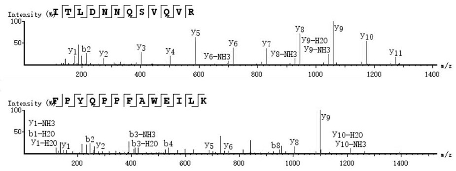 A liquid chromatography tandem mass spectrometry method for detecting glucose dehydrogenase in the honey bees and bees