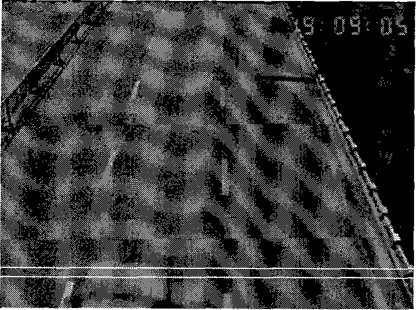 Vehicle detecting and tracing method based on video technique