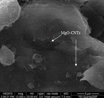 Method for reinforcing magnesium matrix composite through carbon nanotubes coated with magnesium oxide