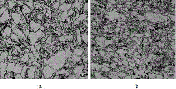 Method for reinforcing magnesium matrix composite through carbon nanotubes coated with magnesium oxide