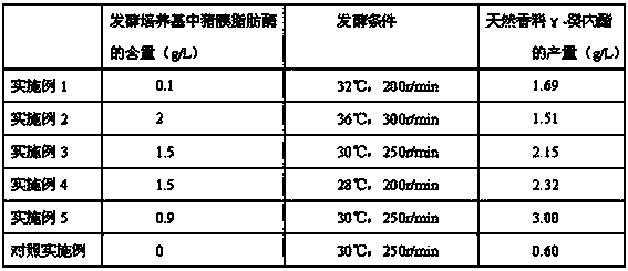 Fermentation method for natural perfume gamma-decalactone