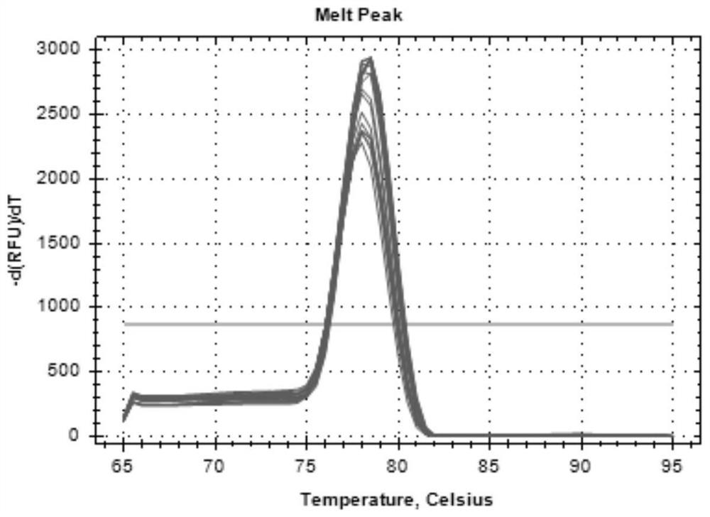 Primer and method for fluorescent quantitative PCR detection of Enterocytozoon hepatopenaei (EHP)