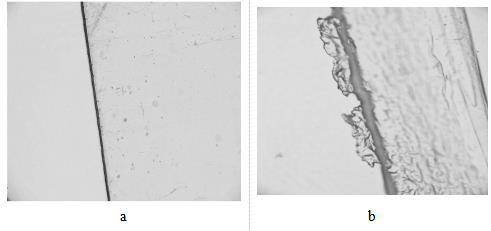 Bacillus safensis YZS-C03 and application thereof