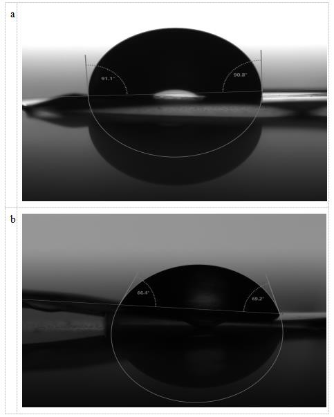 Bacillus safensis YZS-C03 and application thereof