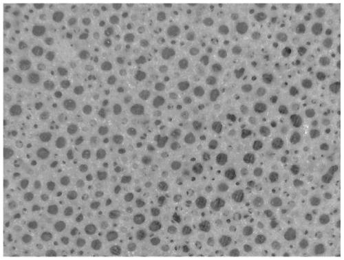 Microporous water-based waterproof gas-permeable film, water-based waterproof gas-permeable textile, and preparation method thereof