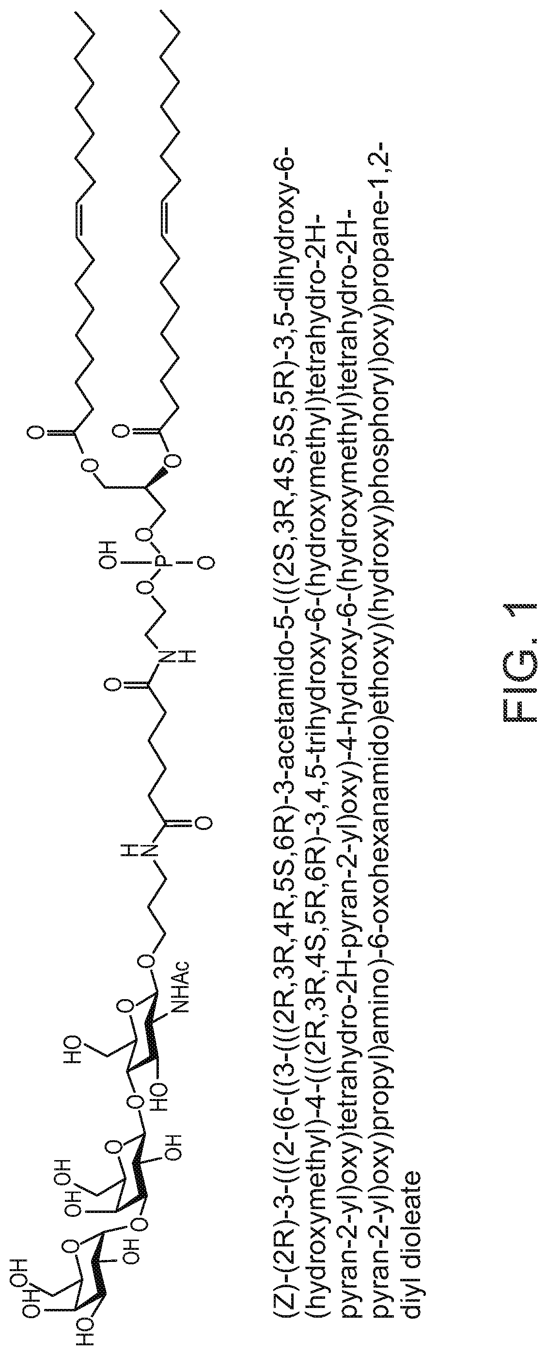 Agi-134 combined with a checkpoint inhibitor for the treatment of solid tumors