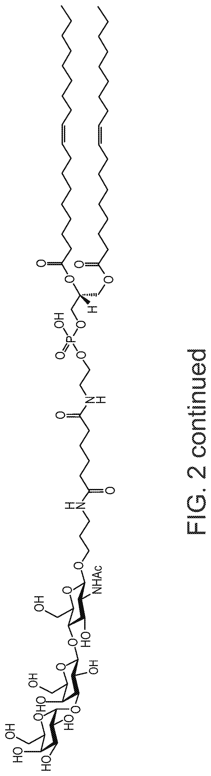 Agi-134 combined with a checkpoint inhibitor for the treatment of solid tumors