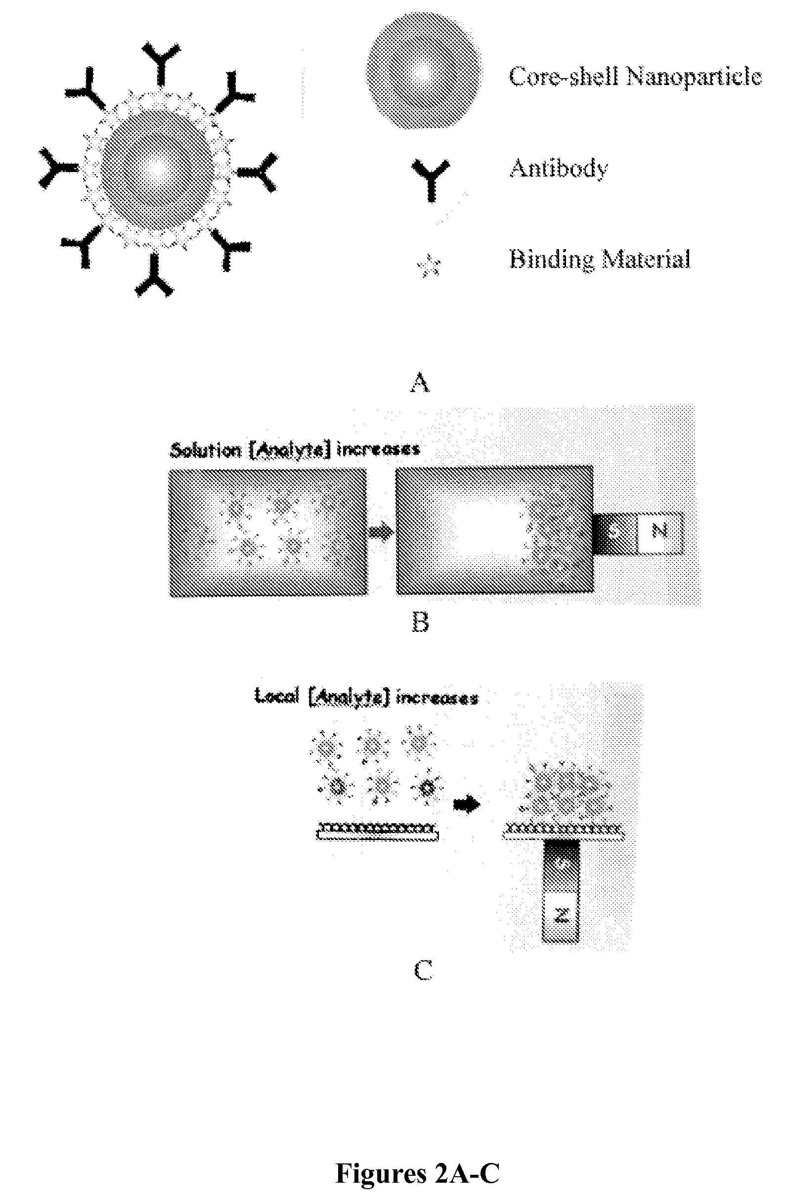 Core-shell nanoparticles with multiple cores and a method for fabricating them