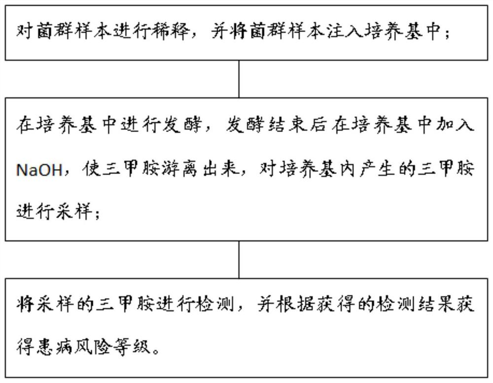 Method for simulating metabolism of trimethylamine by intestinal flora