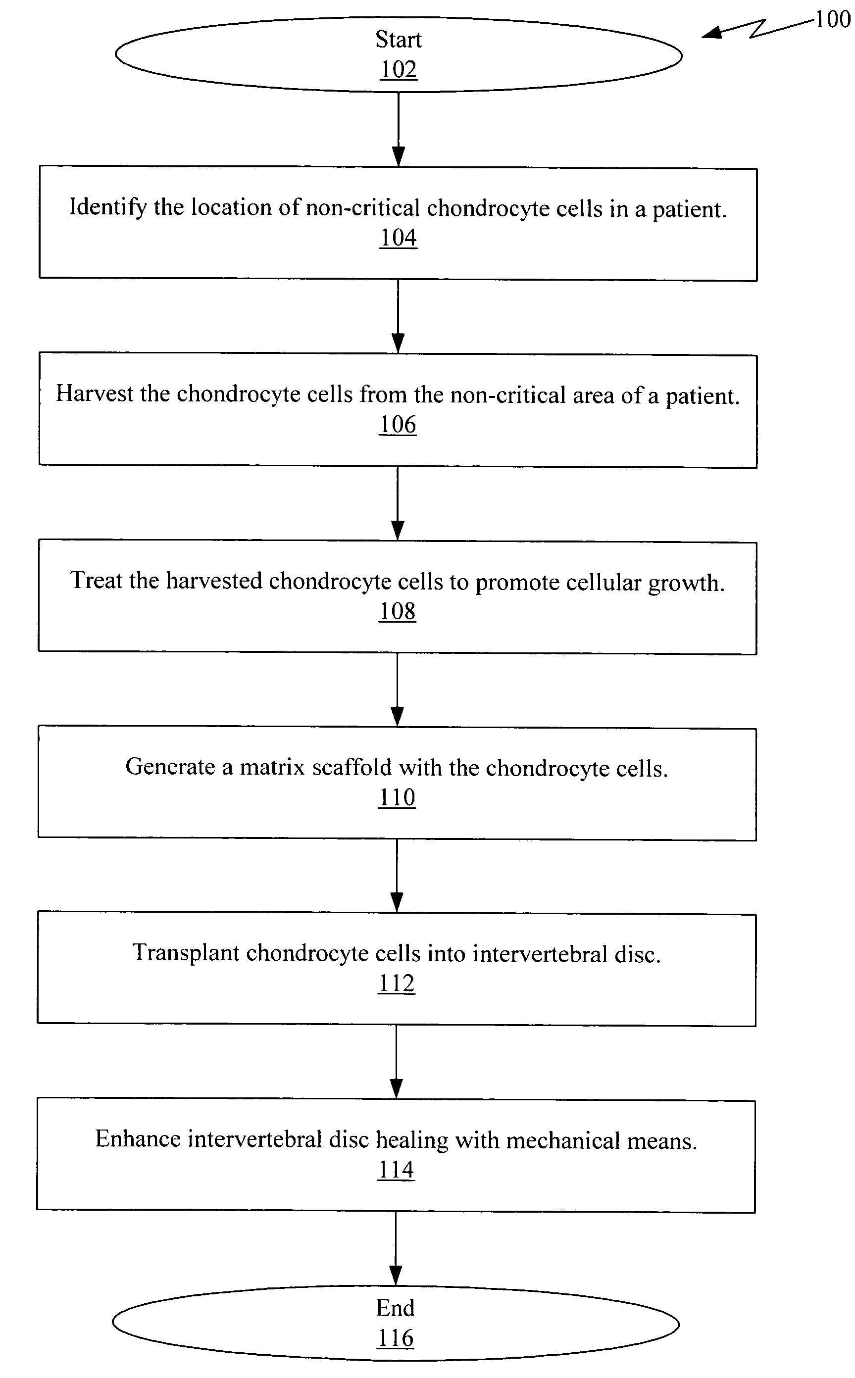 Method of intervertebral disc treatment using articular chondrocyte cells