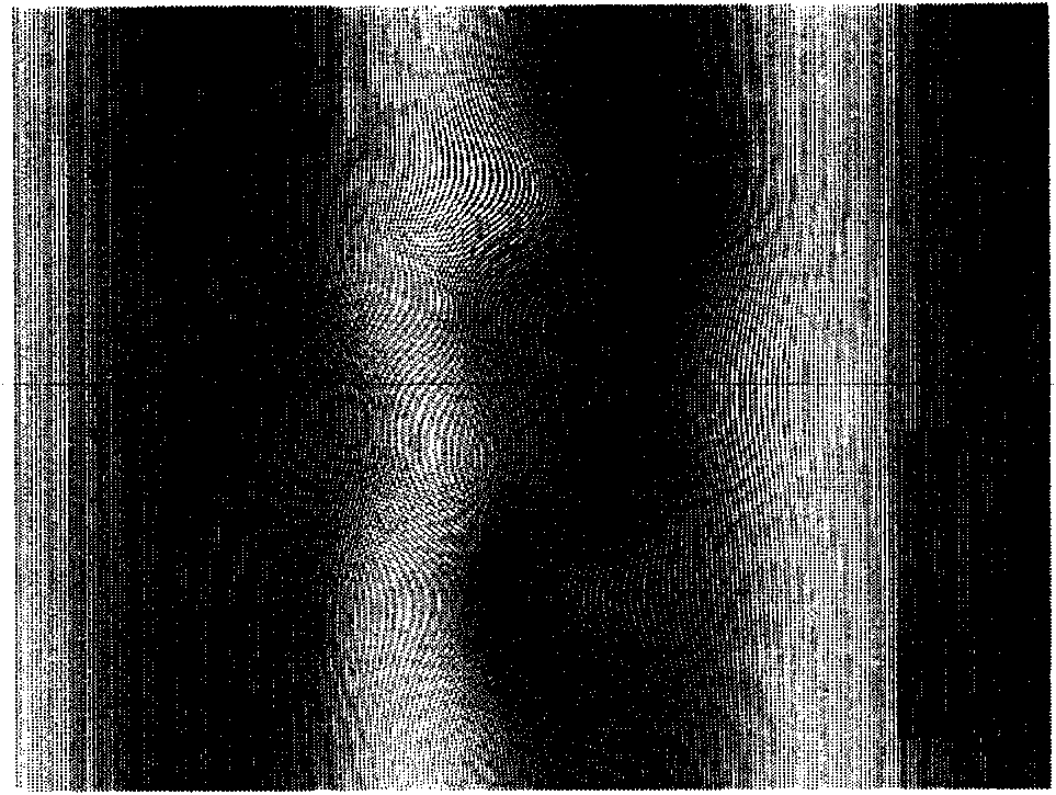 16-step dual-frequency grating phase shift profilometry capable of absolute phase unwrapping