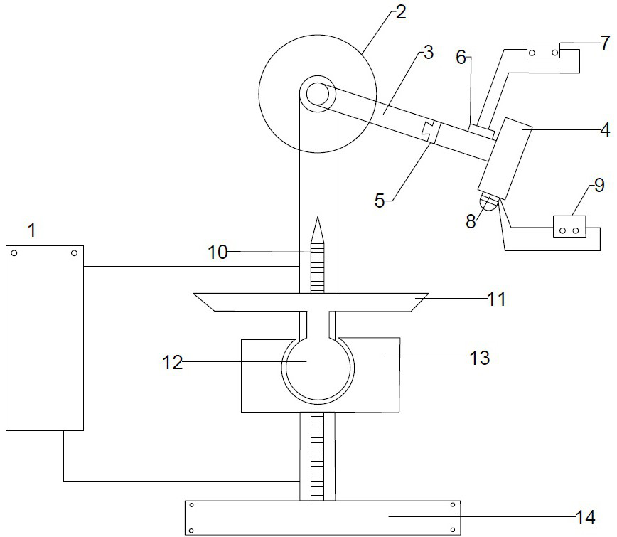 Multifunctional skull and maxillofacial bone impact mechanics experiment device