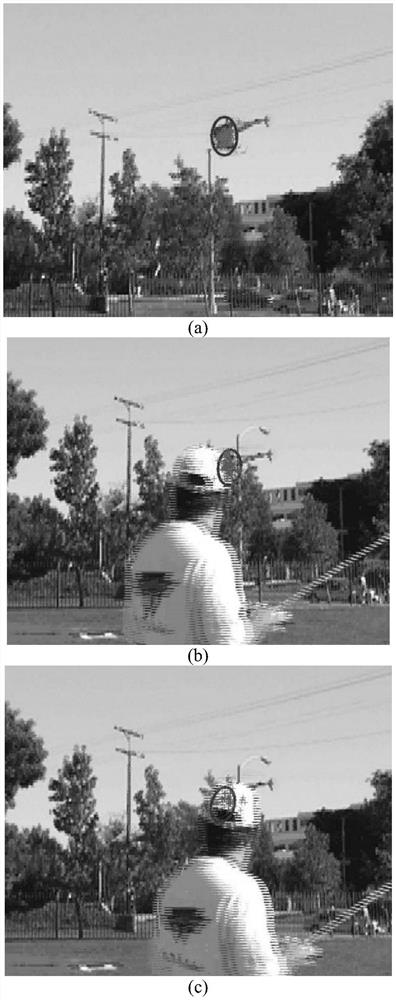 An Immune Particle Filter Extended Object Tracking Method Fused with Color and Gradient Histograms