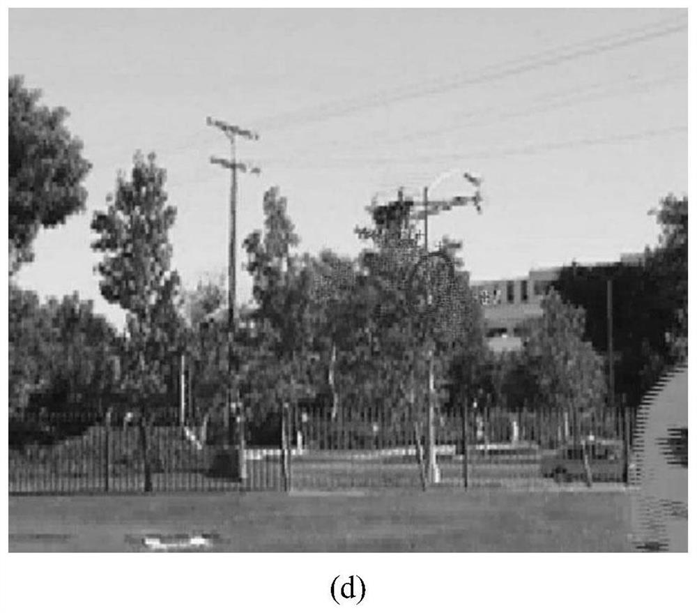 An Immune Particle Filter Extended Object Tracking Method Fused with Color and Gradient Histograms