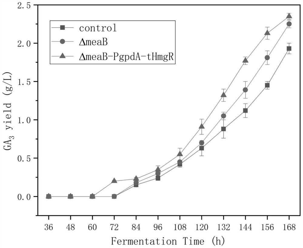 Gibberella fujikuroi genetically engineered bacterium with high-yield gibberellin GA3, construction method and application