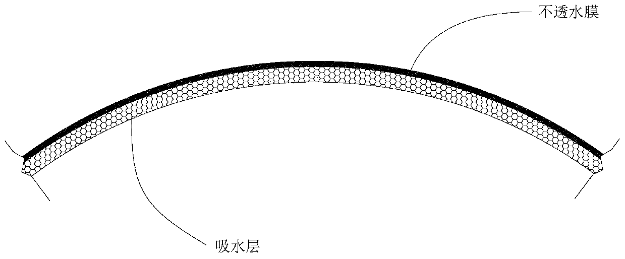 Construction method of anti-sand dust biological film in arid area