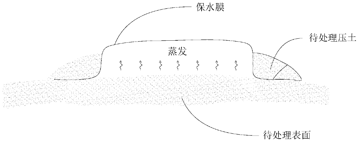 Construction method of anti-sand dust biological film in arid area