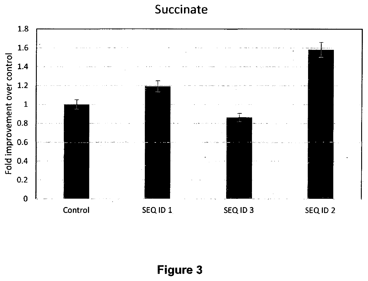 Recombinant methanotrophic bacterium and a method of production of succinic acid from methane or biogas thereof