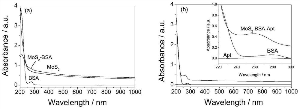 Nucleic acid aptamer modified molybdenum disulfide nanosheet photothermal agent with targeted identification