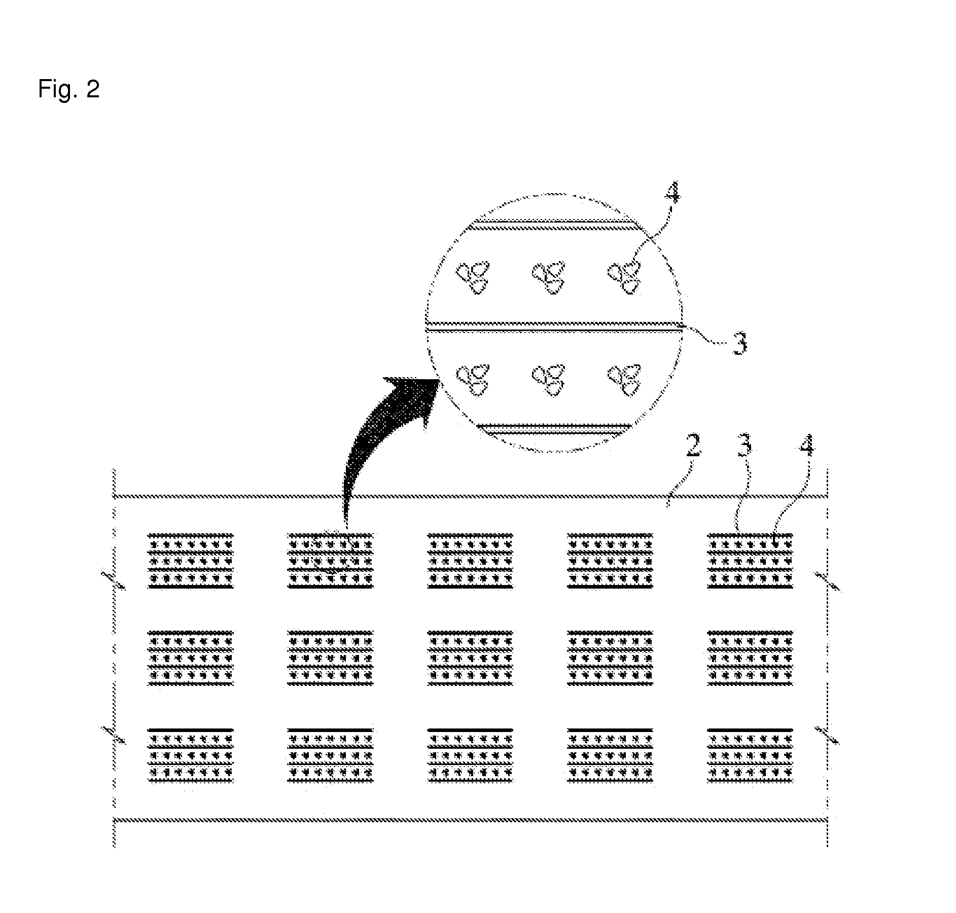 Apparatus for Laying Seed Film and Method for Laying Seed Film by Using the Apparatus for Laying the Seed Film