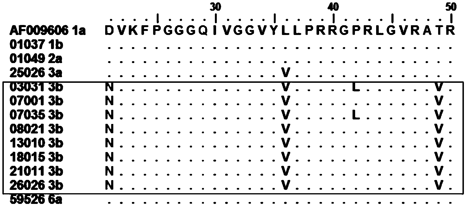 Core antigen fragment for detecting hepatitis C virus and application of core antigen fragment