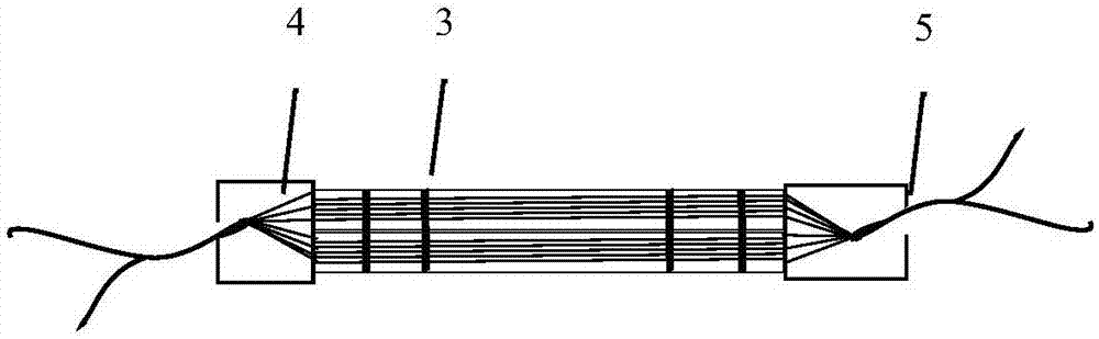 Regenerative implant of cruciate ligament and preparation method and application thereof