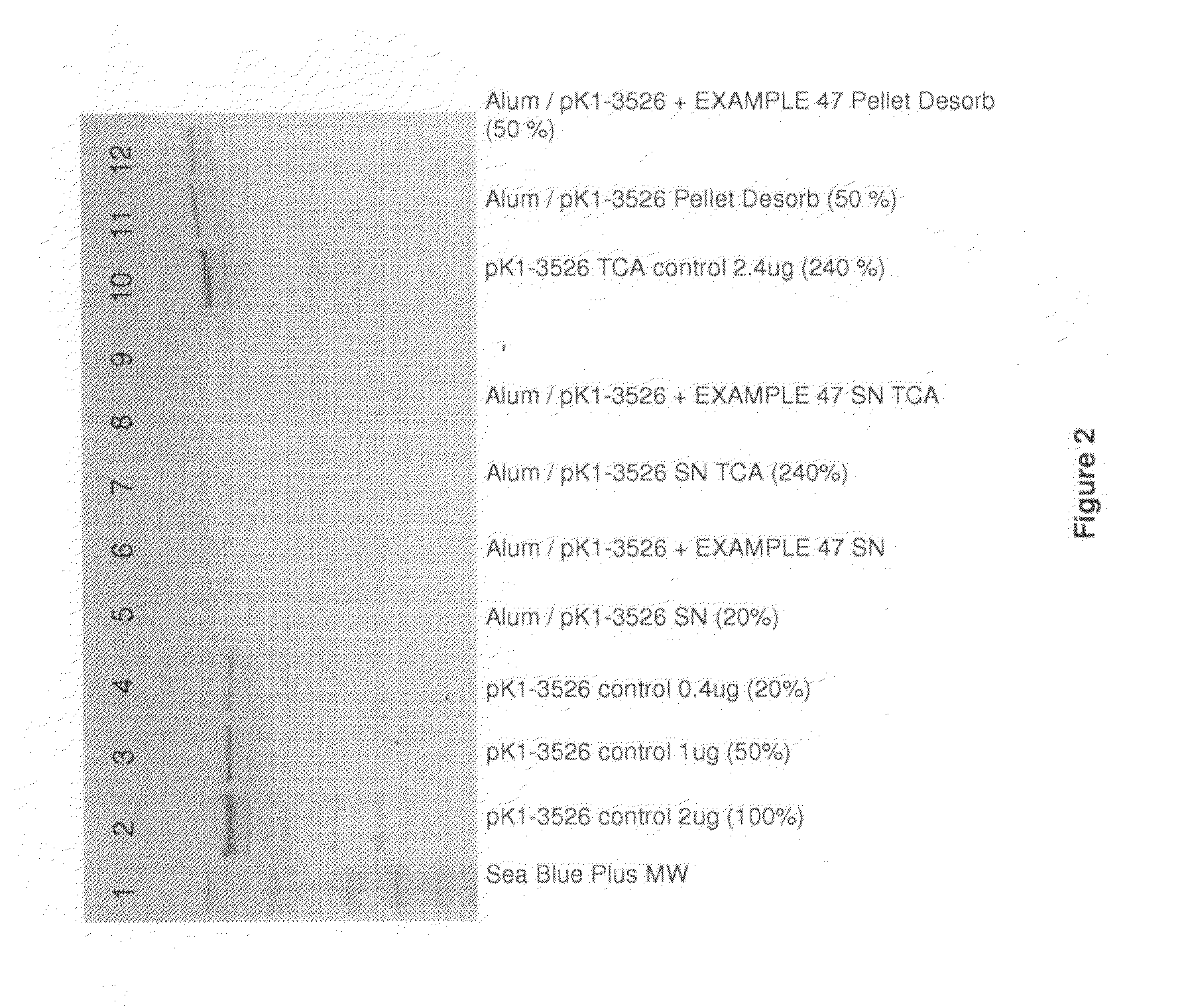 Homogenous suspension of immunopotentiating compounds and uses thereof