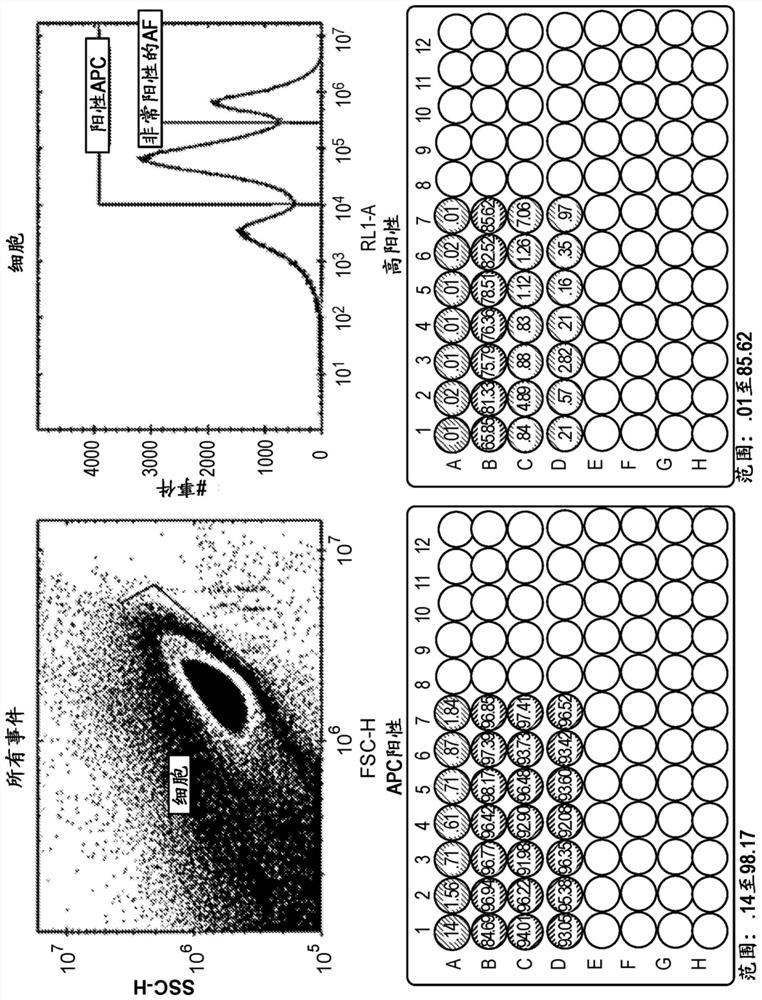 Chemokine responsive activated natural killer cells with secondary homing activation for verified targets