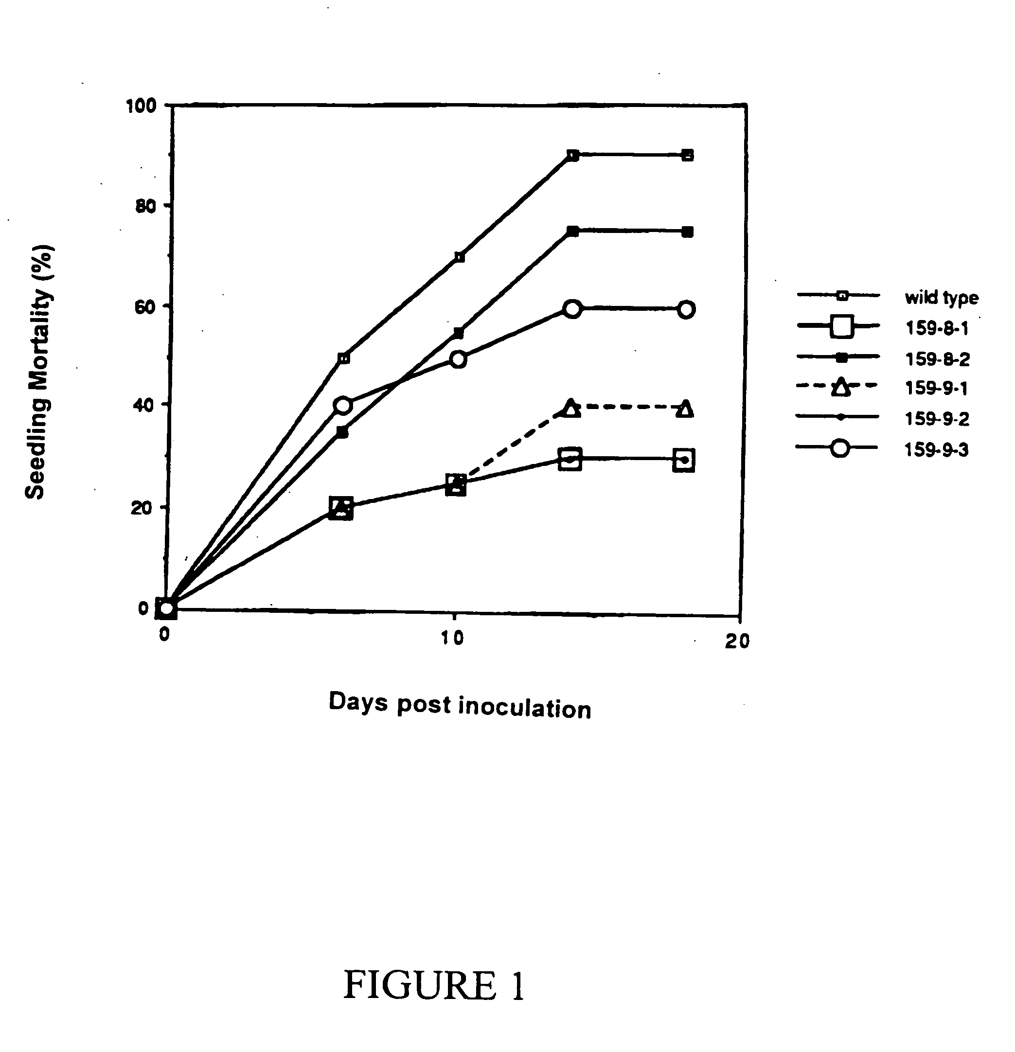 Transgenic plants producing a pap II protein