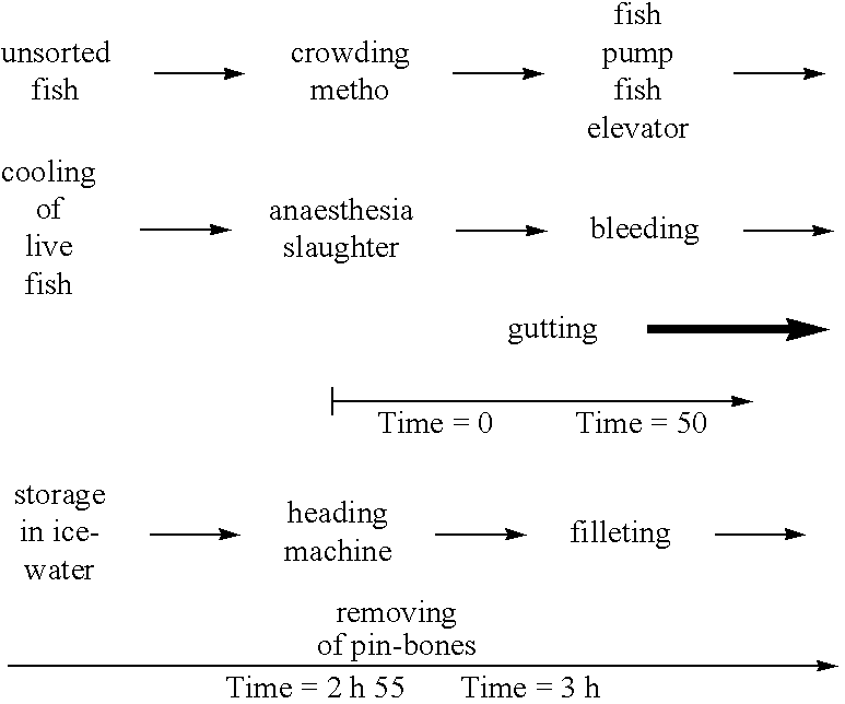 Method for the manufacture of raw fish products