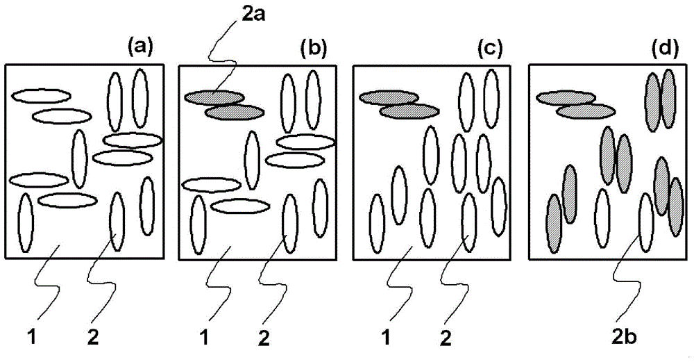 Method for manufacturing liquid crystal alignment film, liquid crystal alignment film, and liquid crystal display element