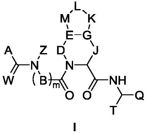 Peptidomimetic compound as well as derivative, preparation method, pharmaceutical composition and application thereof