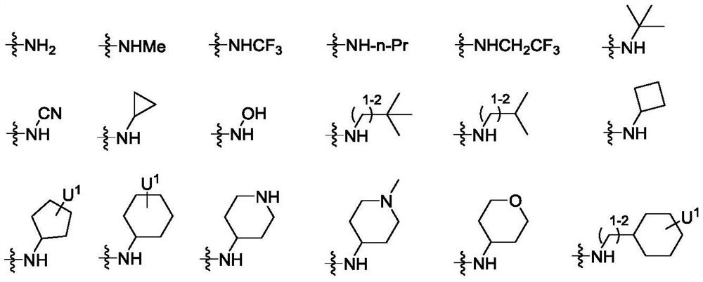 Peptidomimetic compound as well as derivative, preparation method, pharmaceutical composition and application thereof