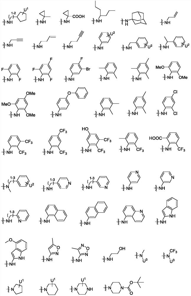 Peptidomimetic compound as well as derivative, preparation method, pharmaceutical composition and application thereof