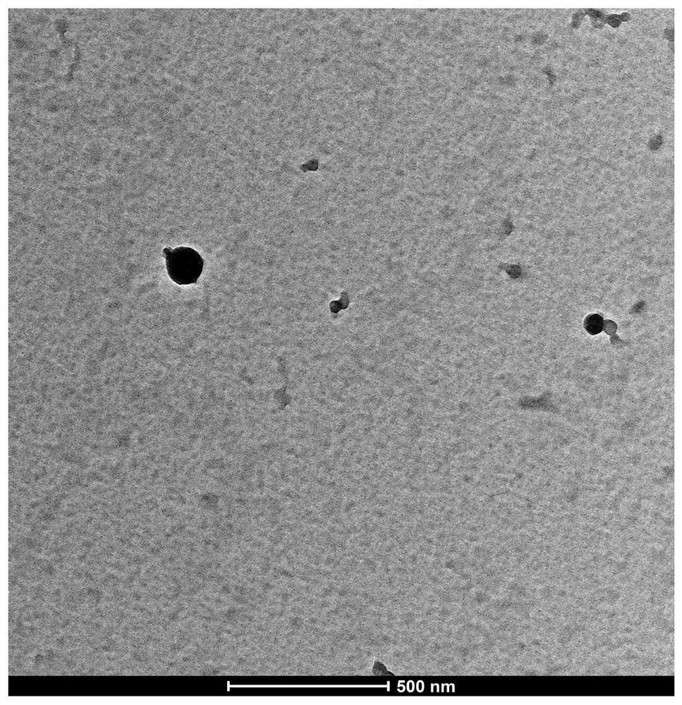 Monosaccharide functionalized organic nano soft ball and preparation method thereof