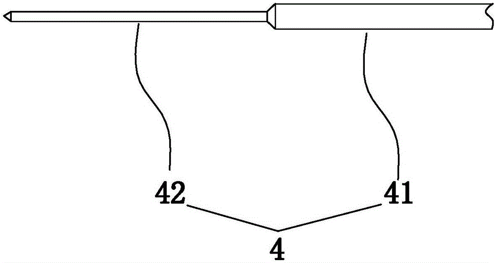 Fish tag label, fish tag device and labeling method