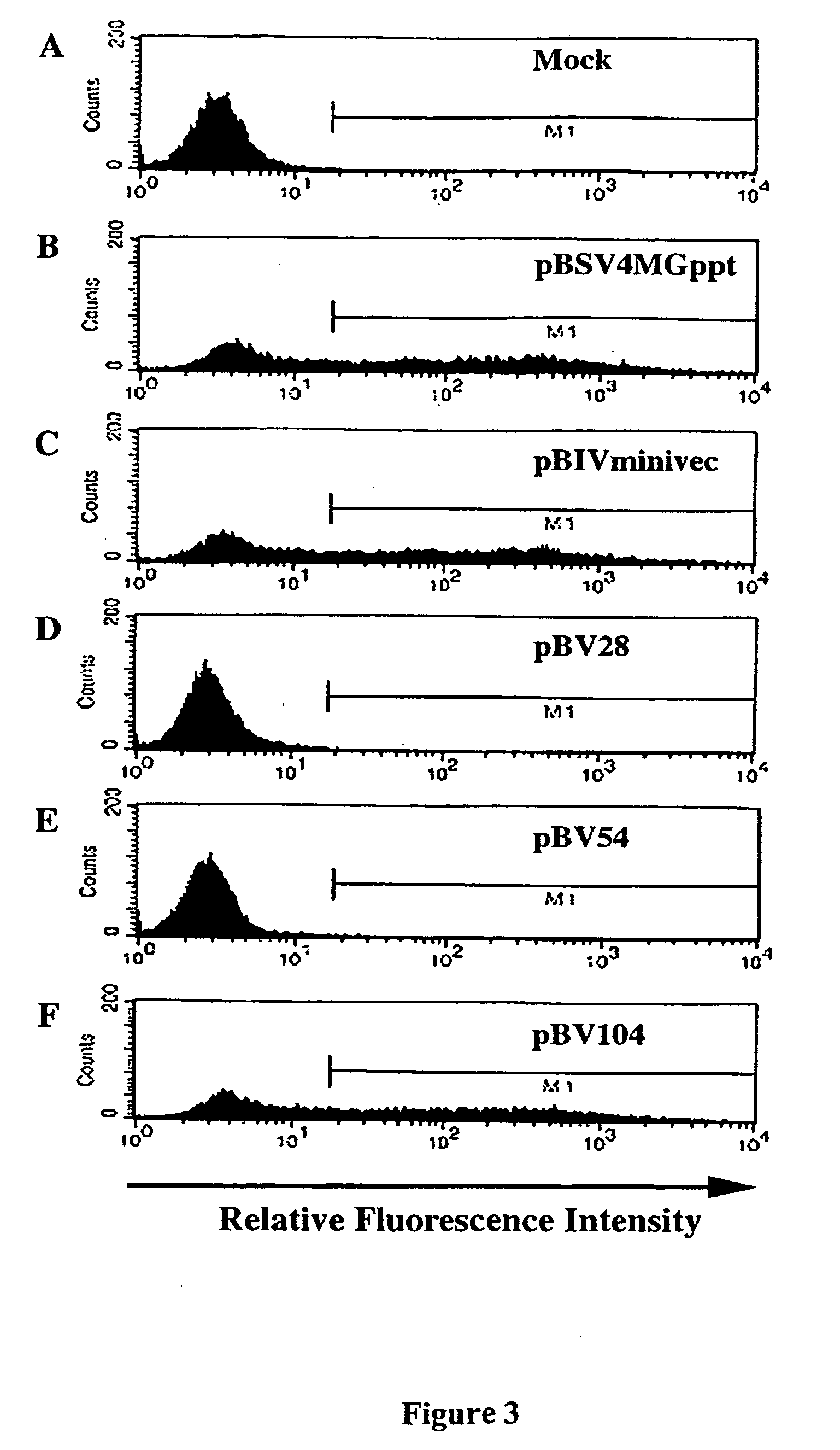 Recombinant bovine immunodeficiency virus based gene transfer system