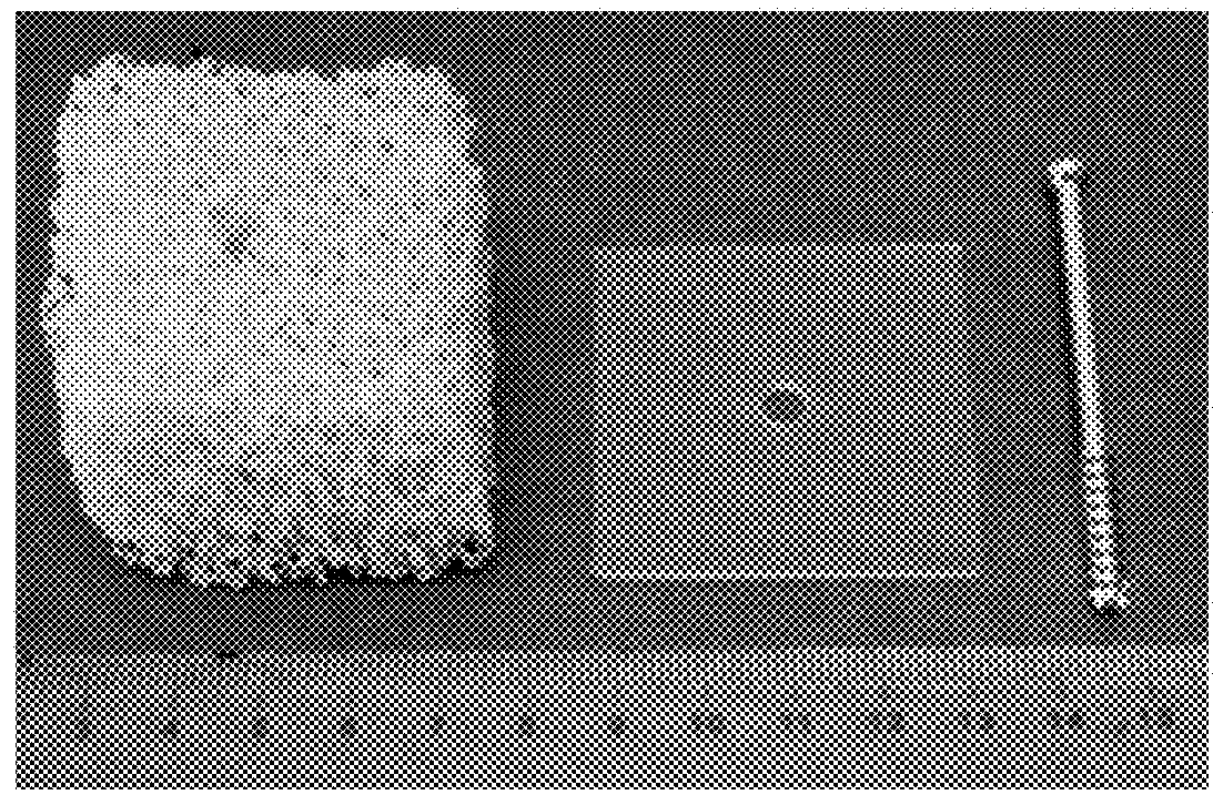 Injectable bone substitutes for augmenting implant fixation