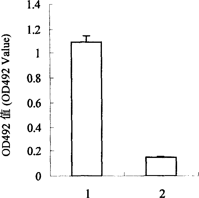 Method for preparing powdered egg yolk coating agent containing anti-aeromonas hydrophila yolk immunoglobulin