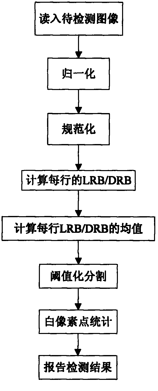 Fault on-line detection method of steel wire rope conveyer belt based on texture regularity analysis