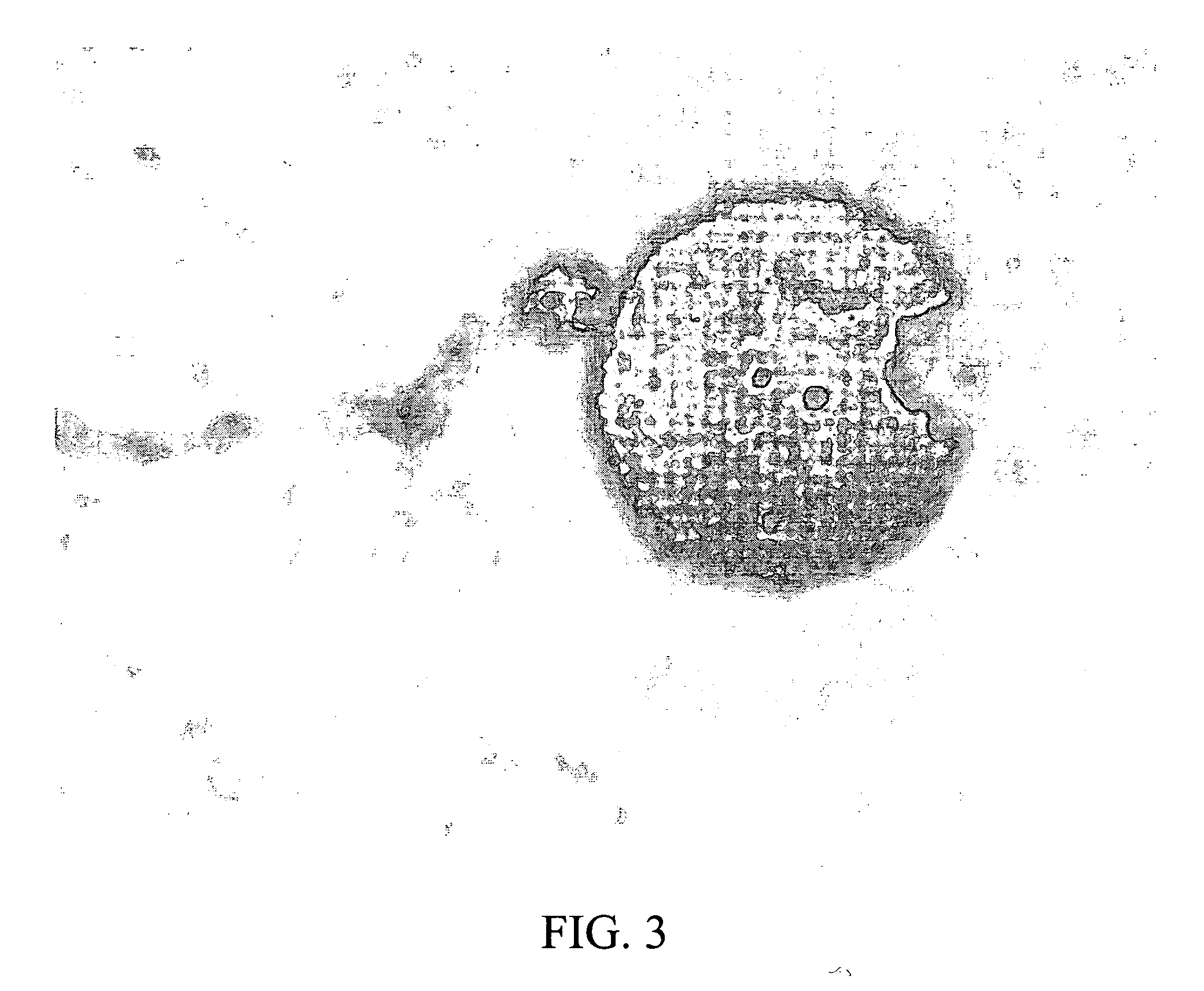 Tropicalizing agent, and methods for making and using the same