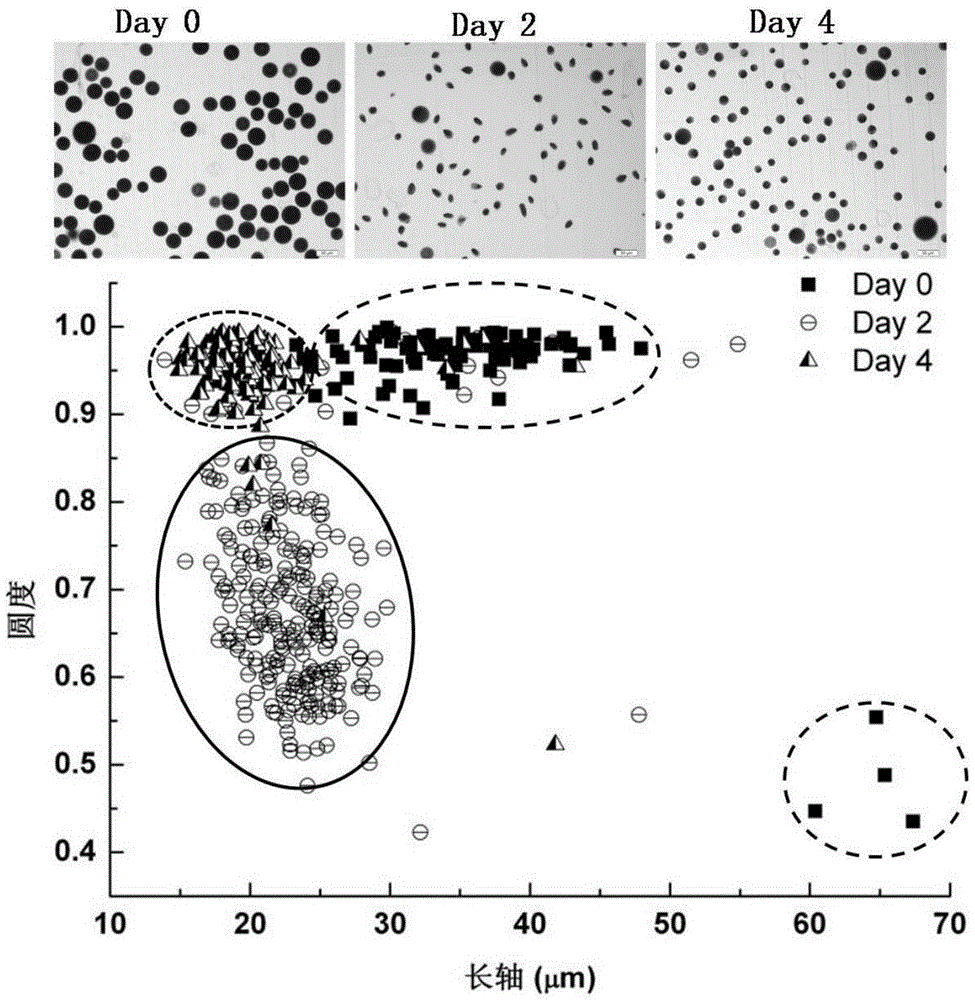 Regulating method of cell cycle synchronization of haematococcus pluvialis and application thereof