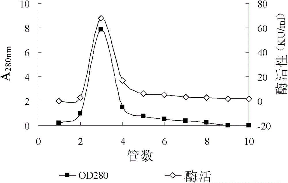 Human anionic trypsin mutant