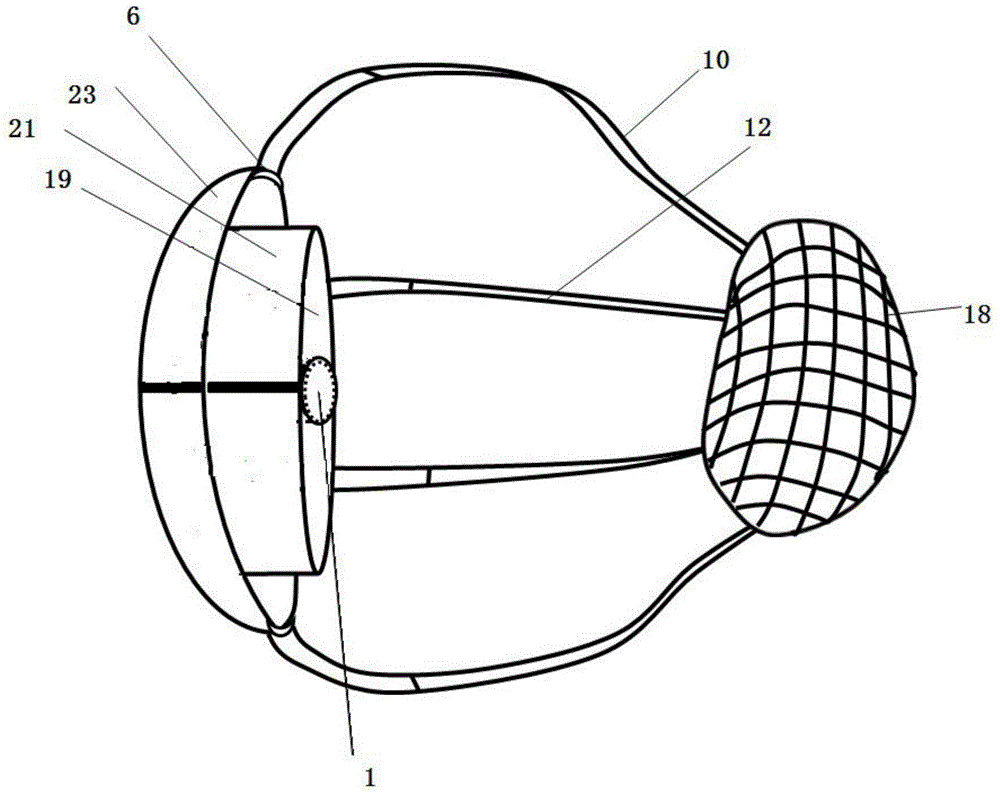 Fixing device for tracheal intubation