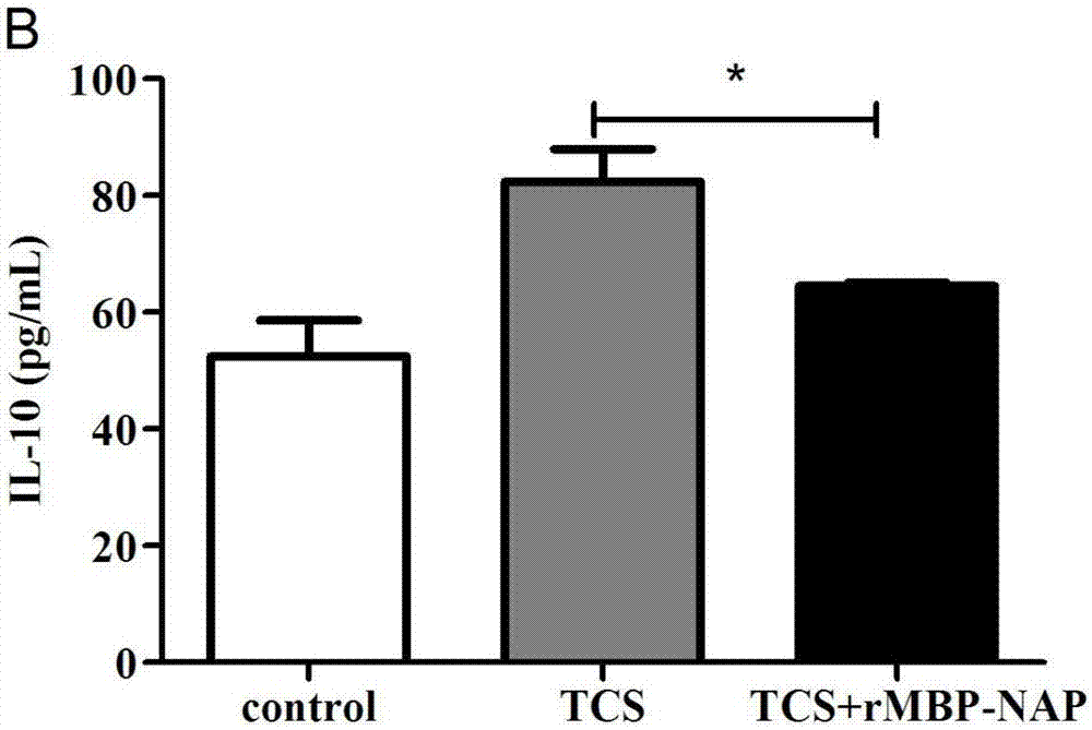 Application of rMBP-NAP in regulation and control of macrophage and direct tumor resistance